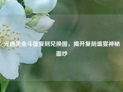 光遇黑金斗篷复刻兑换图,揭开复刻盛宴神秘面纱