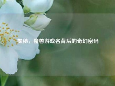 揭秘,魔兽游戏名背后的奇幻密码