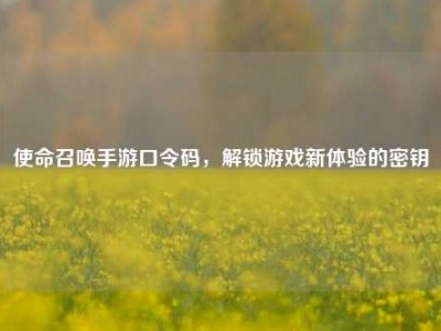 使命召唤手游口令码，解锁游戏新体验的密钥