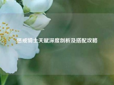 惩戒骑士天赋深度剖析及搭配攻略