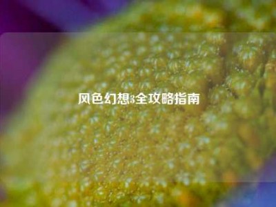 风色幻想3全攻略指南