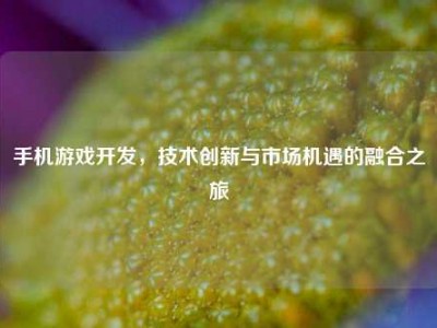 手机游戏开发，技术创新与市场机遇的融合之旅