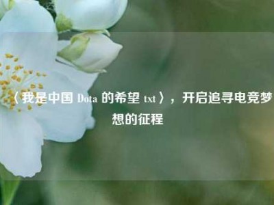 〈我是中国 Dota 的希望 txt〉，开启追寻电竞梦想的征程