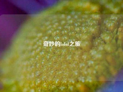 奇妙的lolol之旅