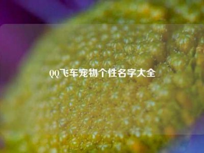 QQ飞车宠物个性名字大全