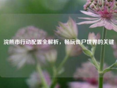 浣熊市行动配置全解析，畅玩丧尸世界的关键