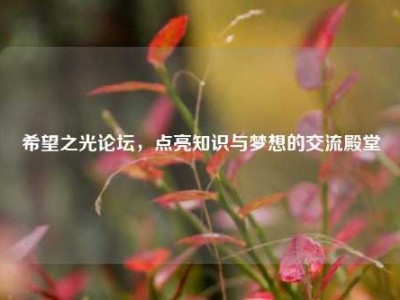 希望之光论坛，点亮知识与梦想的交流殿堂