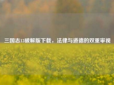 三国志13破解版下载,法律与道德的双重审视
