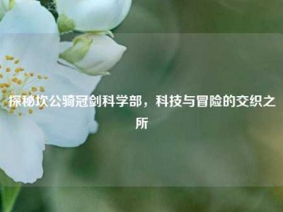 探秘坎公骑冠剑科学部,科技与冒险的交织之所