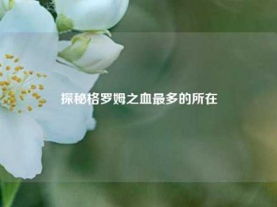 探秘格罗姆之血最多的所在