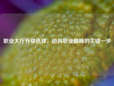 职业大厅升级选择,迈向职业巅峰的关键一步