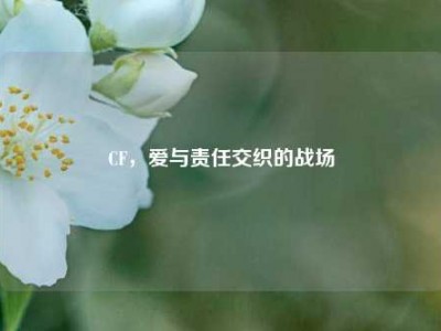 CF，爱与责任交织的战场