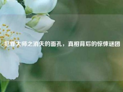 犯罪大师之消失的面孔,真相背后的惊悚谜团