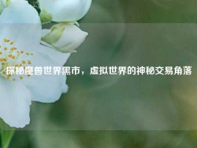 探秘魔兽世界黑市,虚拟世界的神秘交易角落