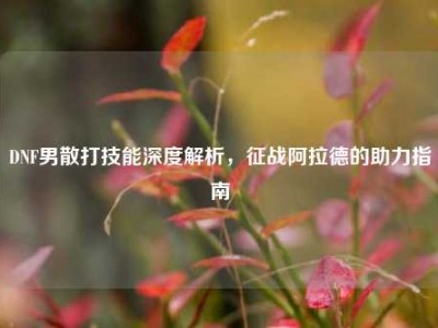 DNF男散打技能深度解析,征战阿拉德的助力指南