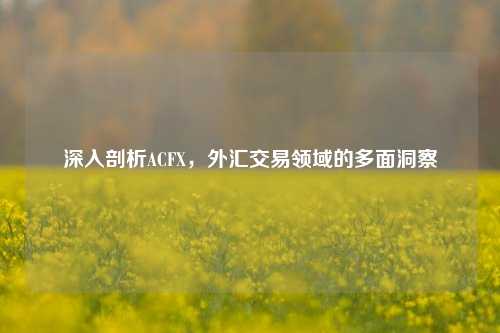 深入剖析ACFX,外汇交易领域的多面洞察