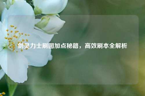 剑灵力士刷图加点秘籍,高效刷本全解析