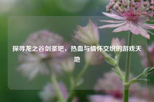 探寻龙之谷剑圣吧,热血与情怀交织的游戏天地