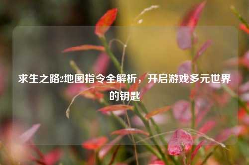 求生之路2地图指令全解析,开启游戏多元世界的钥匙