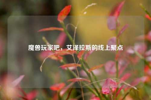 魔兽玩家吧,艾泽拉斯的线上聚点