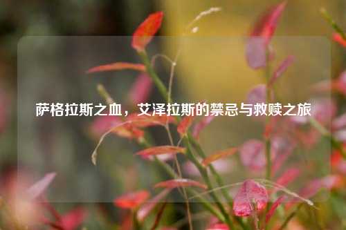 萨格拉斯之血,艾泽拉斯的禁忌与救赎之旅