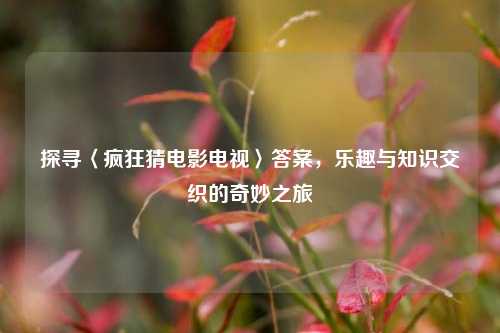 探寻〈疯狂猜电影电视〉答案,乐趣与知识交织的奇妙之旅