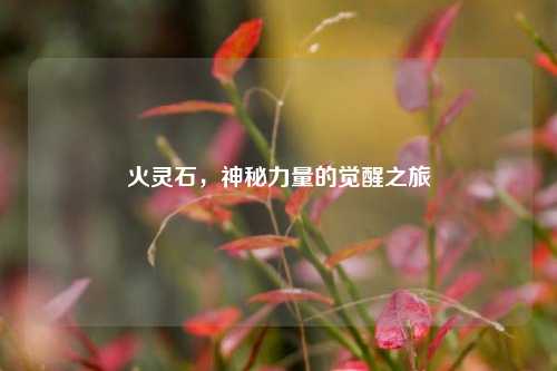 火灵石,神秘力量的觉醒之旅