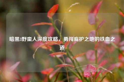 暗黑3野蛮人深度攻略,勇闯庇护之地的铁血之道