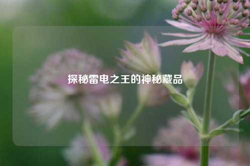 探秘雷电之王的神秘藏品