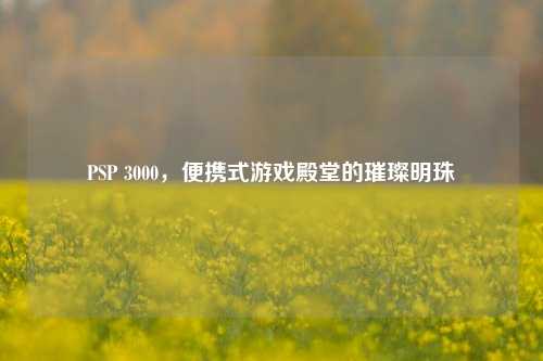 PSP 3000,便携式游戏殿堂的璀璨明珠