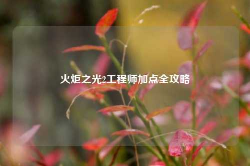 火炬之光2工程师加点全攻略