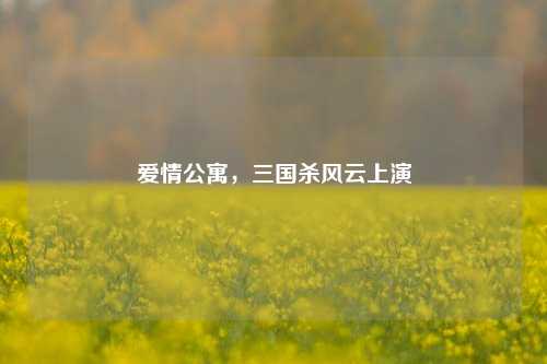 爱情公寓,三国杀风云上演