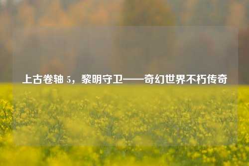 上古卷轴 5,黎明守卫——奇幻世界不朽传奇