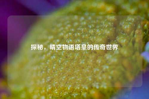 探秘,晴空物语塔皇的传奇世界
