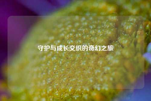 守护与成长交织的奇幻之旅