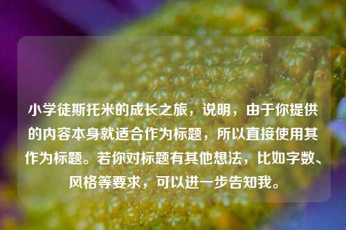 小学徒斯托米的成长之旅,说明,由于你提供的内容本身就适合作为标题,所以直接使用其作为标题。若你对标题有其他想法,比如字数、风格等要求,可以进一步告知我。