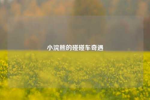 小浣熊的碰碰车奇遇