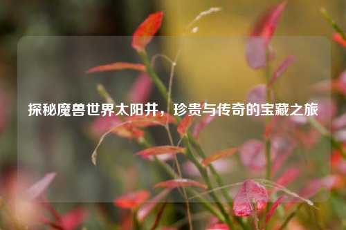 探秘魔兽世界太阳井,珍贵与传奇的宝藏之旅
