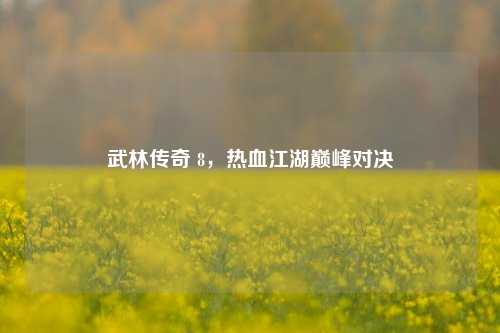 武林传奇 8,热血江湖巅峰对决