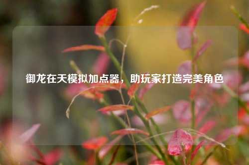 御龙在天模拟加点器,助玩家打造完美角色