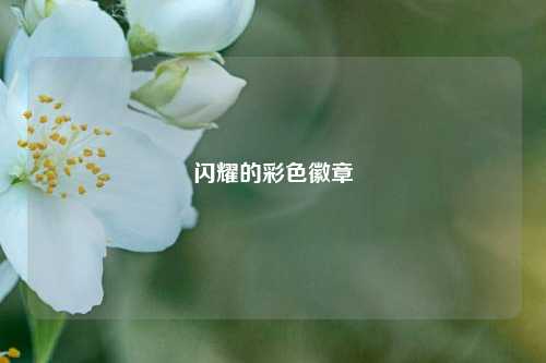 闪耀的彩色徽章