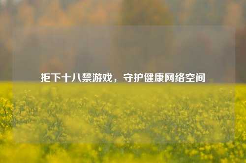 拒下十八禁游戏,守护健康网络空间