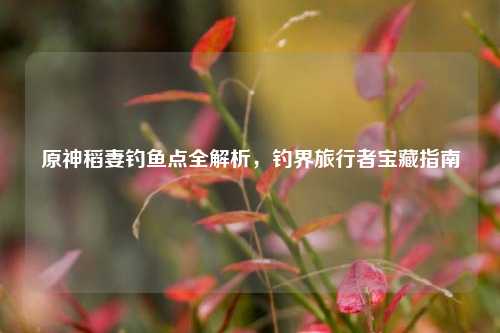 原神稻妻钓鱼点全解析,钓界旅行者宝藏指南