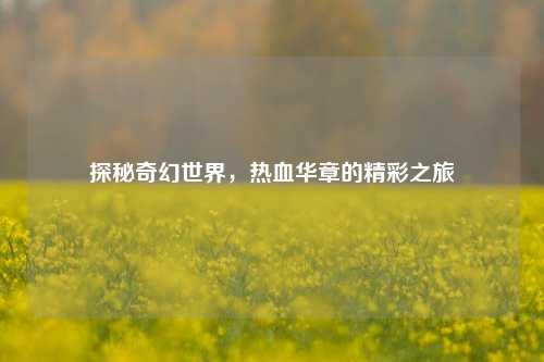 探秘奇幻世界,热血华章的精彩之旅