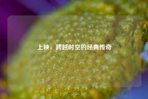 上映,跨越时空的经典传奇