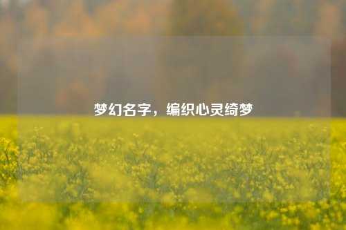 梦幻名字,编织心灵绮梦