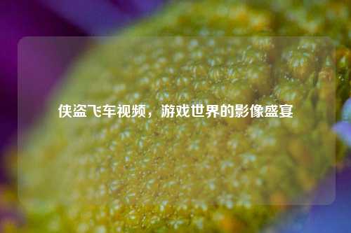 侠盗飞车视频,游戏世界的影像盛宴