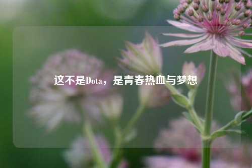 这不是Dota,是青春热血与梦想