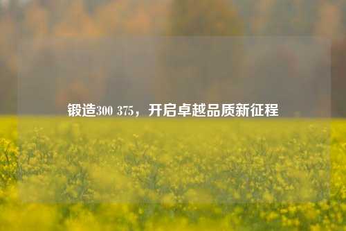 锻造300 375,开启卓越品质新征程