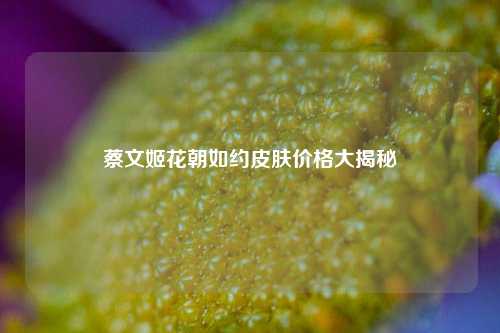 蔡文姬花朝如约皮肤价格大揭秘